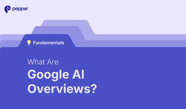 Google AI Overview