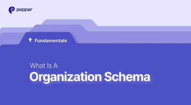 What is OrganizationSchema?
