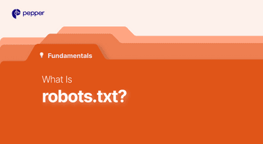 What is Robot.txt?