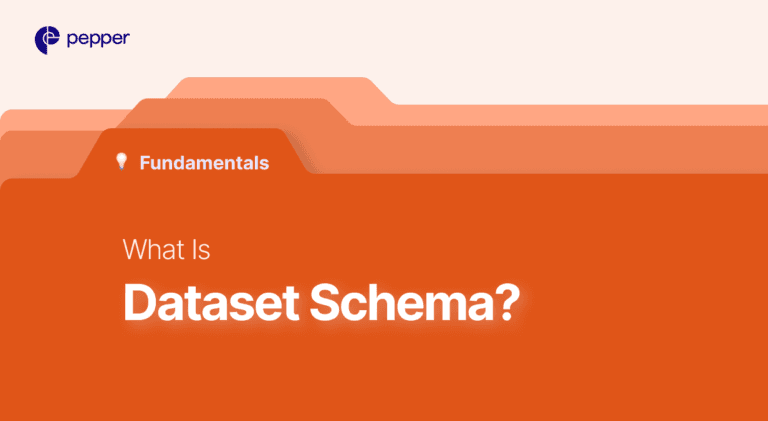 Dataset Schema