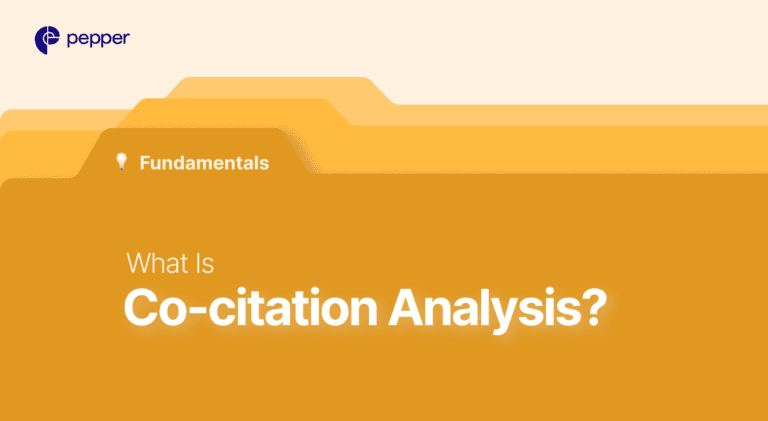 Co-citation-Analysis